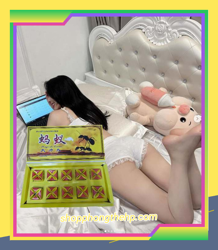 Kiến Càng Đen Tây Tạng Hải Phòng