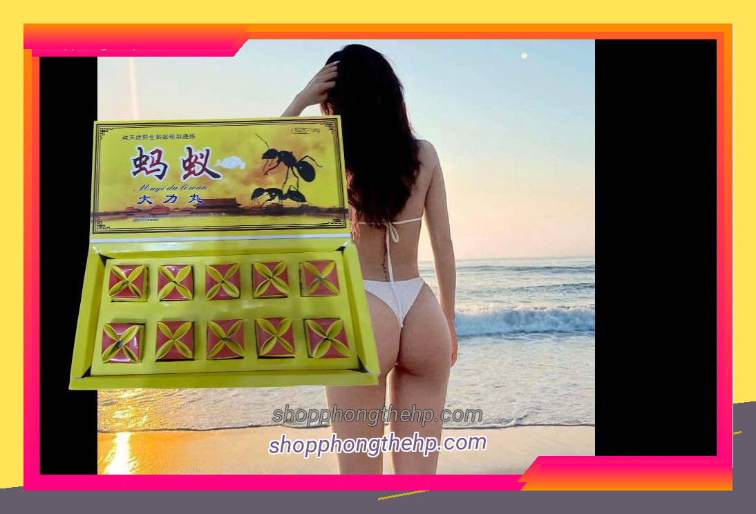 Nam Giới Hải Phòng Quan Tâm Đến Kiến Càng Đen Tây Tạng