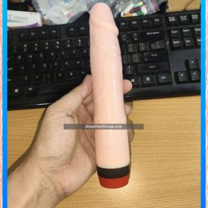 Dương Vật Giả Rockin Dong tại Hải Phòng