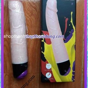 Dương vật giả Hà Nam Vĩnh Phúc