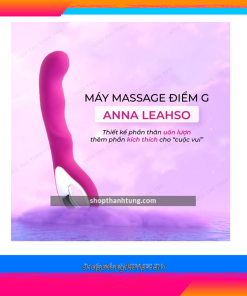Máy massage cầm tay Laelso 10 chế độ tại Hải Phòng