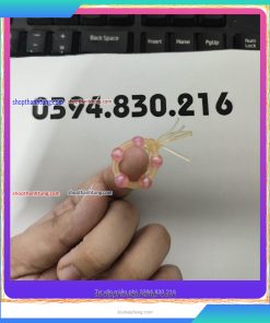 Râu rồng silicon 1 râu 5 bi