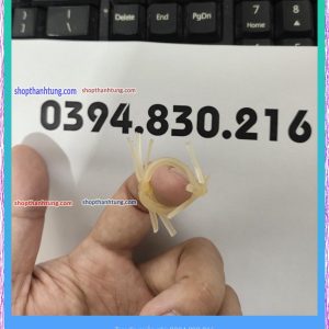 Râu rồng silicon 2 râu