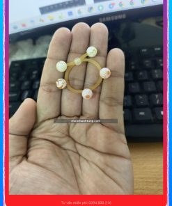 Râu rồng silicon siêu bi cao cấp tại Hải Phòng