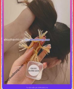 Râu rồng silicon Hà Nội