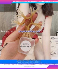 râu rồng silicon Tuyên Quang, Thái Nguyên, Phú Thọ