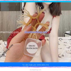 râu rồng silicon Tuyên Quang, Thái Nguyên, Phú Thọ