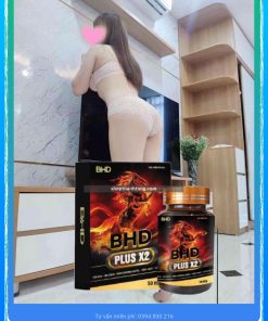 bổ hoàn dương tại Hải Dương