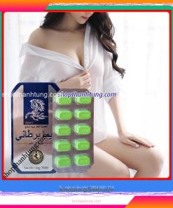 Mua ngựa thái tại Quảng Ninh