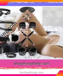 Đồ chơi bạo dâm ở Hà Nội