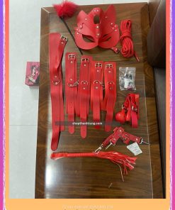 Bộ Đồ Chơi Bạo Dâm Bdsm – 10 Món Hải Phòng new1