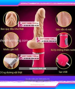 Dương vật giả sextoys tại Lâm Đồng
