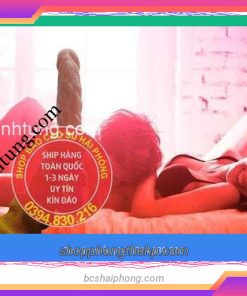 Dương Vật Giả Tại An Lão Hải Phòng
