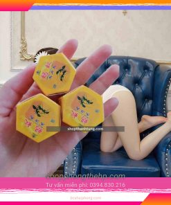 Kiến càng đen tây tạng tại Hải Dương