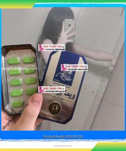 địa chỉ mua ngựa thái tại Đồ Sơn