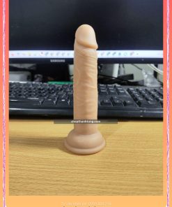 Dương vật giả không rung size nhỏ dildo 6698
