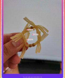 Râu rồng silicon Hải Dương