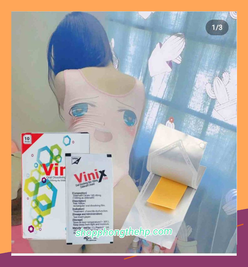 Tem vinix 24