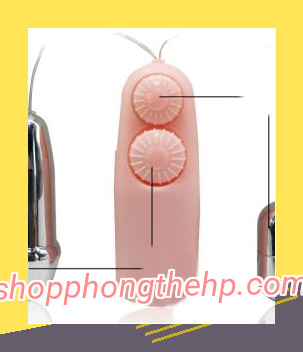 Trung rung inox 3 pin 5